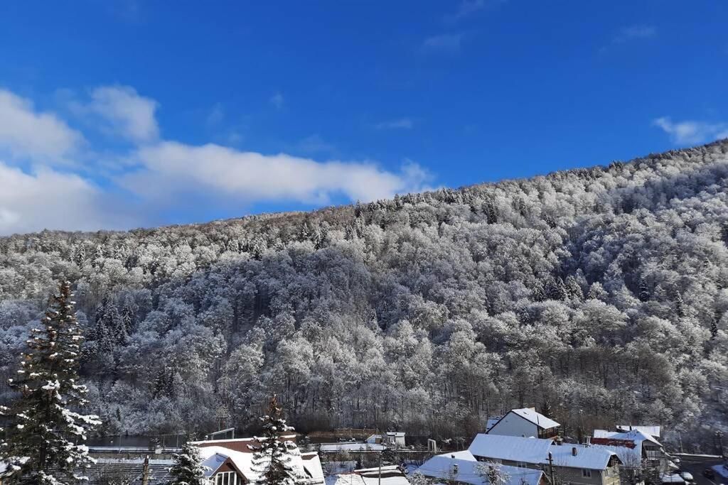 Apartament Erika Sinaia Luaran gambar