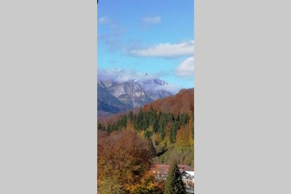 Apartament Erika Sinaia Luaran gambar