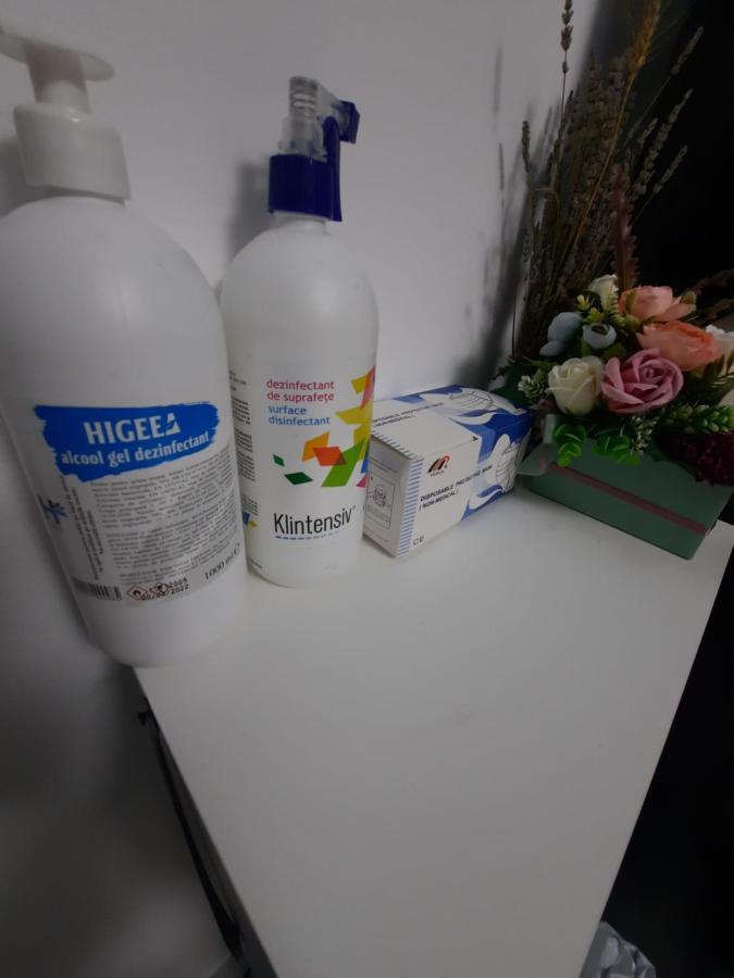 Apartament Erika Sinaia Luaran gambar