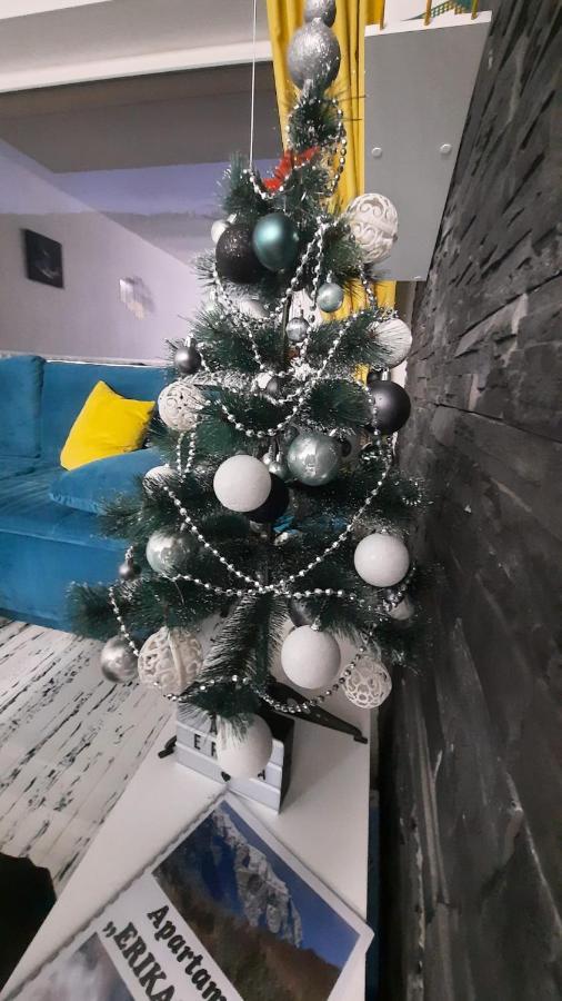 Apartament Erika Sinaia Luaran gambar