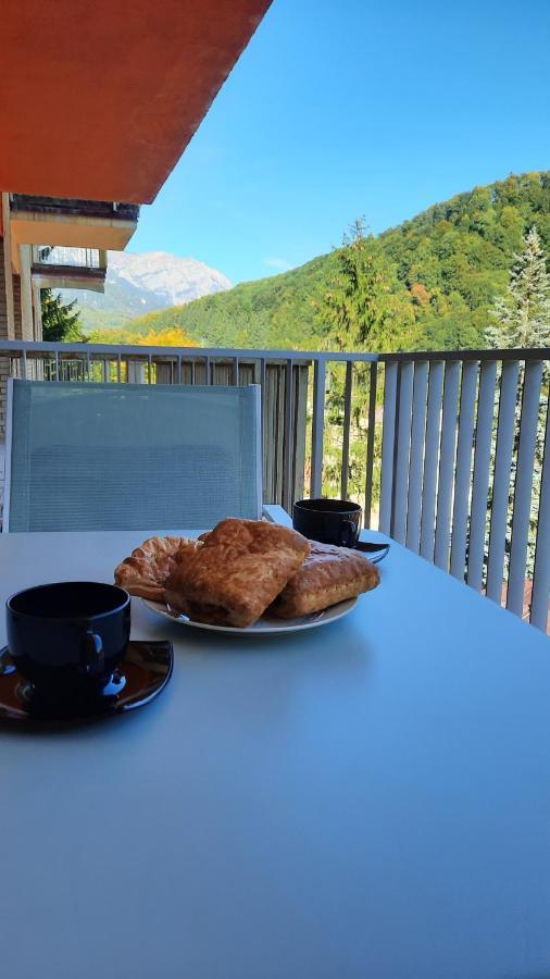 Apartament Erika Sinaia Luaran gambar