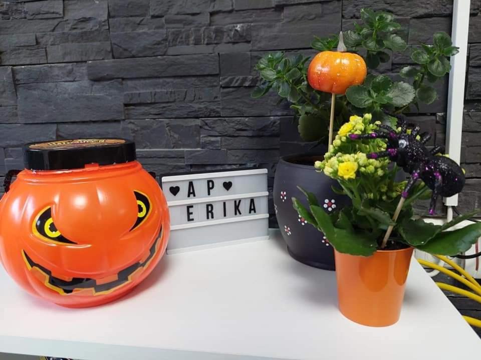 Apartament Erika Sinaia Luaran gambar