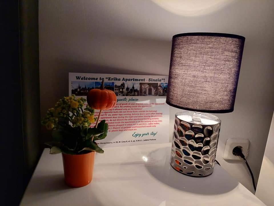 Apartament Erika Sinaia Luaran gambar